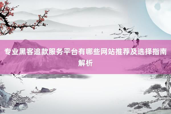 专业黑客追款服务平台有哪些网站推荐及选择指南解析