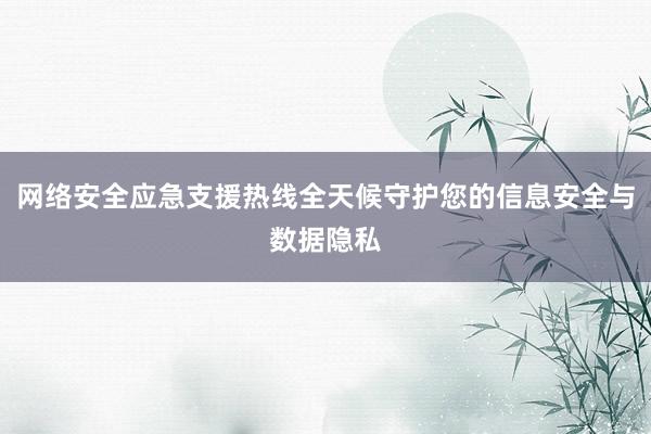 网络安全应急支援热线全天候守护您的信息安全与数据隐私