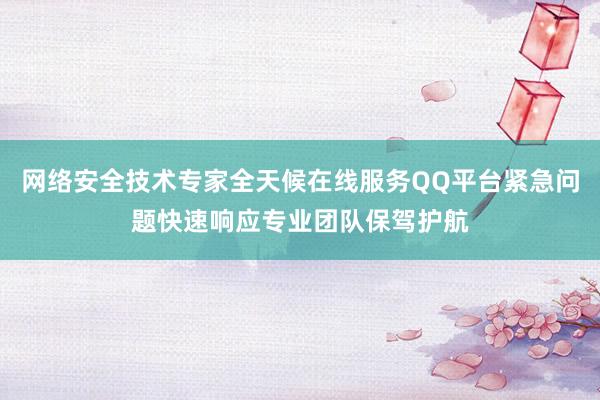 网络安全技术专家全天候在线服务QQ平台紧急问题快速响应专业团队保驾护航