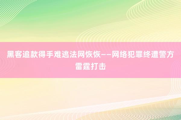 黑客追款得手难逃法网恢恢——网络犯罪终遭警方雷霆打击