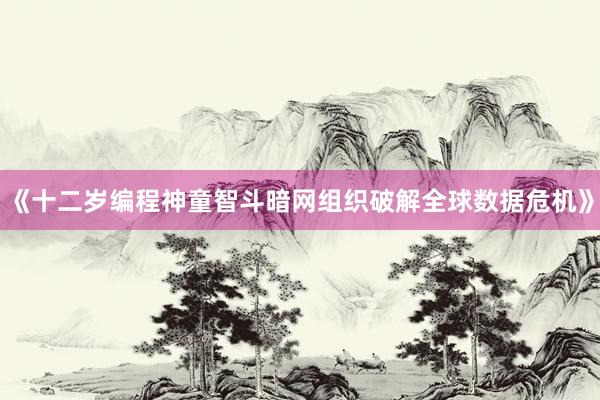 《十二岁编程神童智斗暗网组织破解全球数据危机》