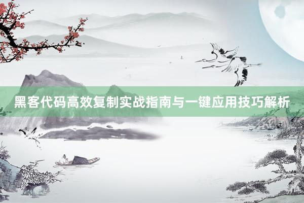 黑客代码高效复制实战指南与一键应用技巧解析